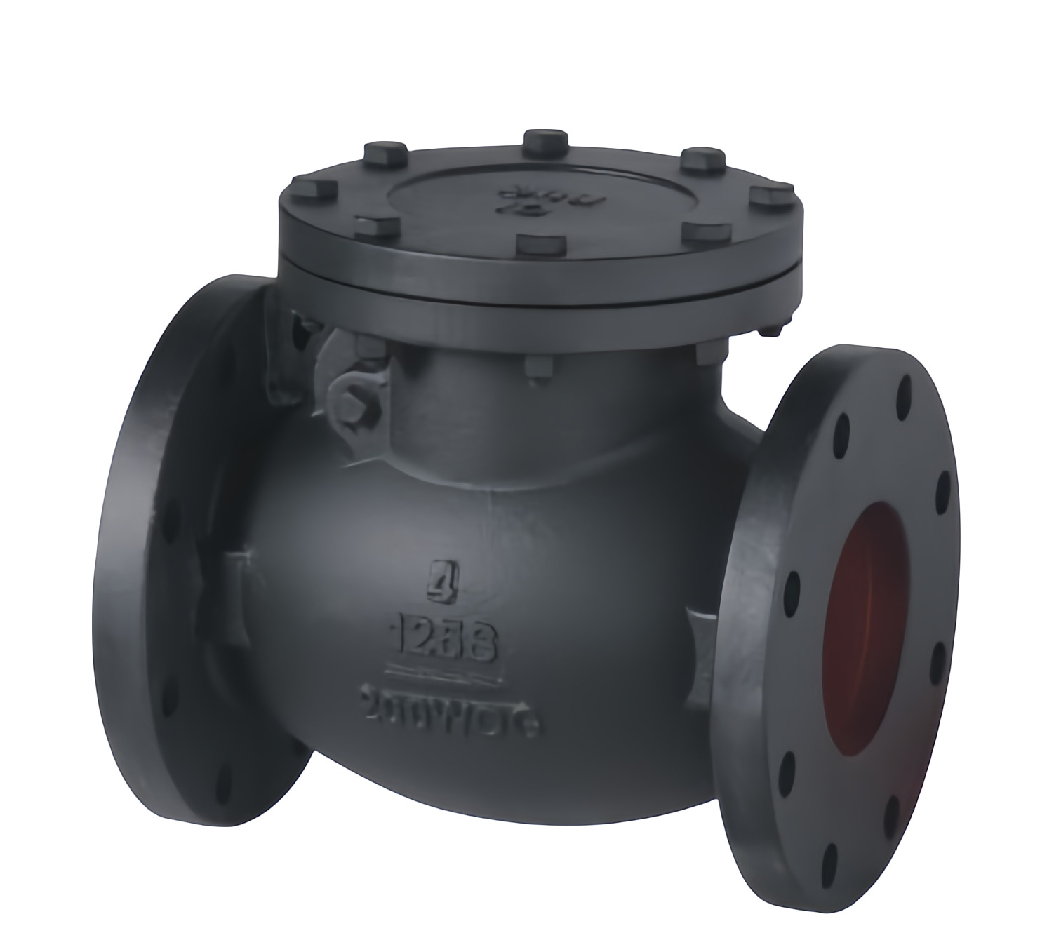 Check Valve Technical Drawing