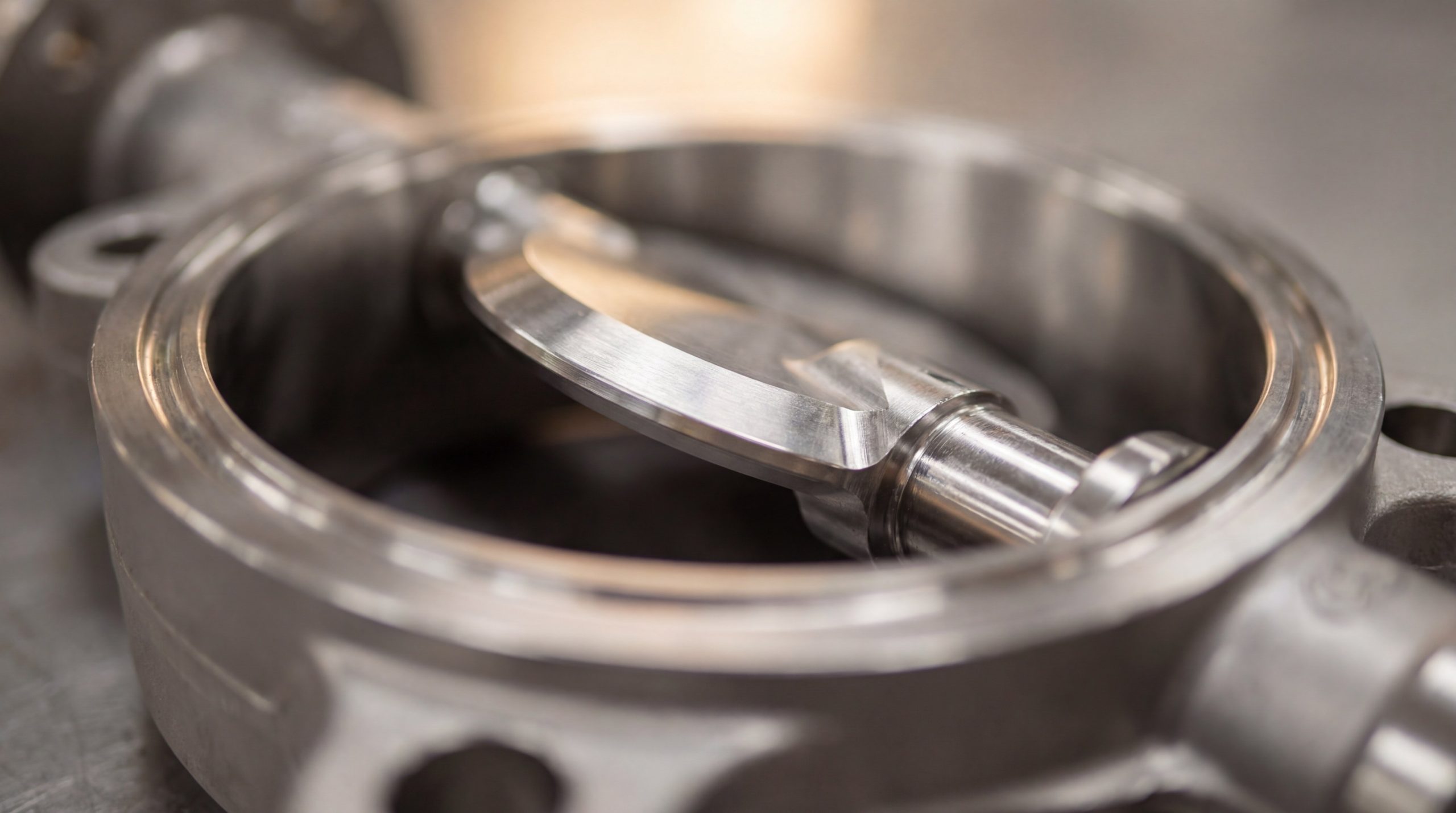 Precision butterfly valve macro