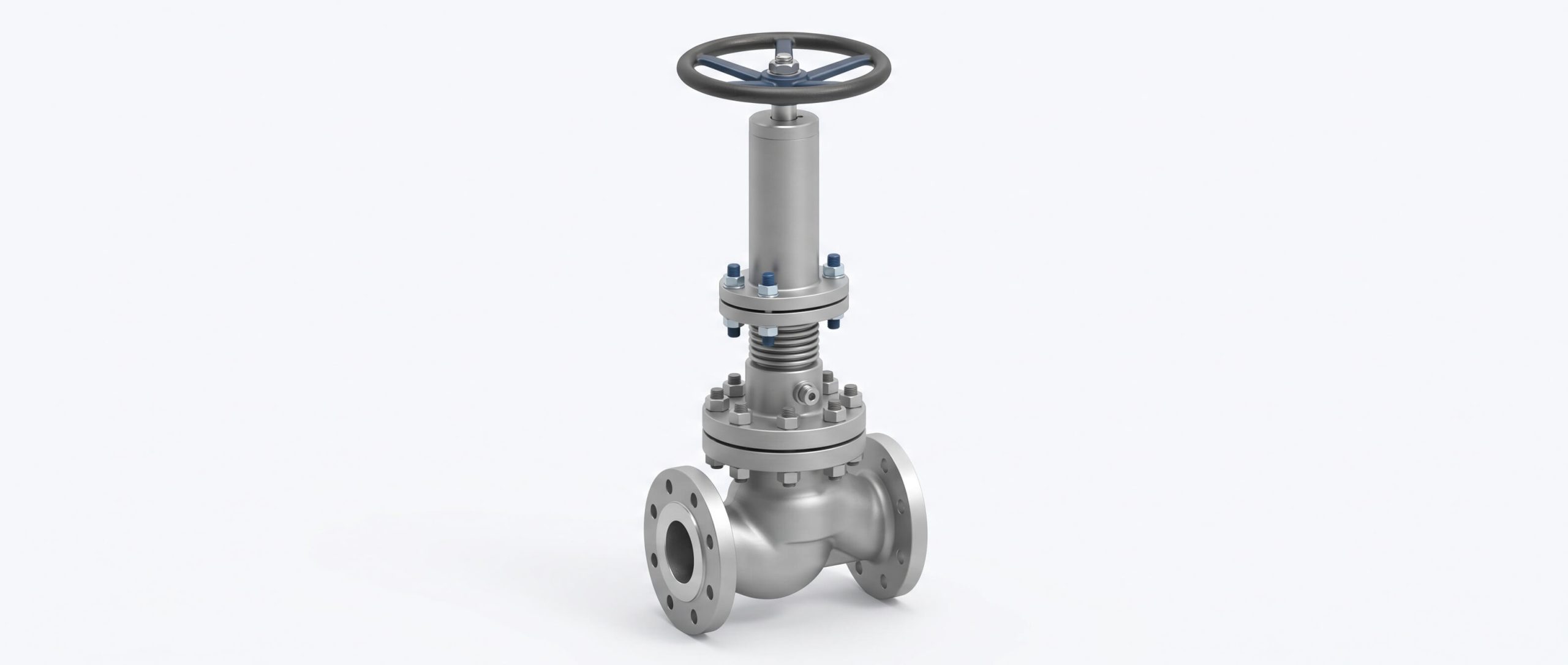 Globe Valve