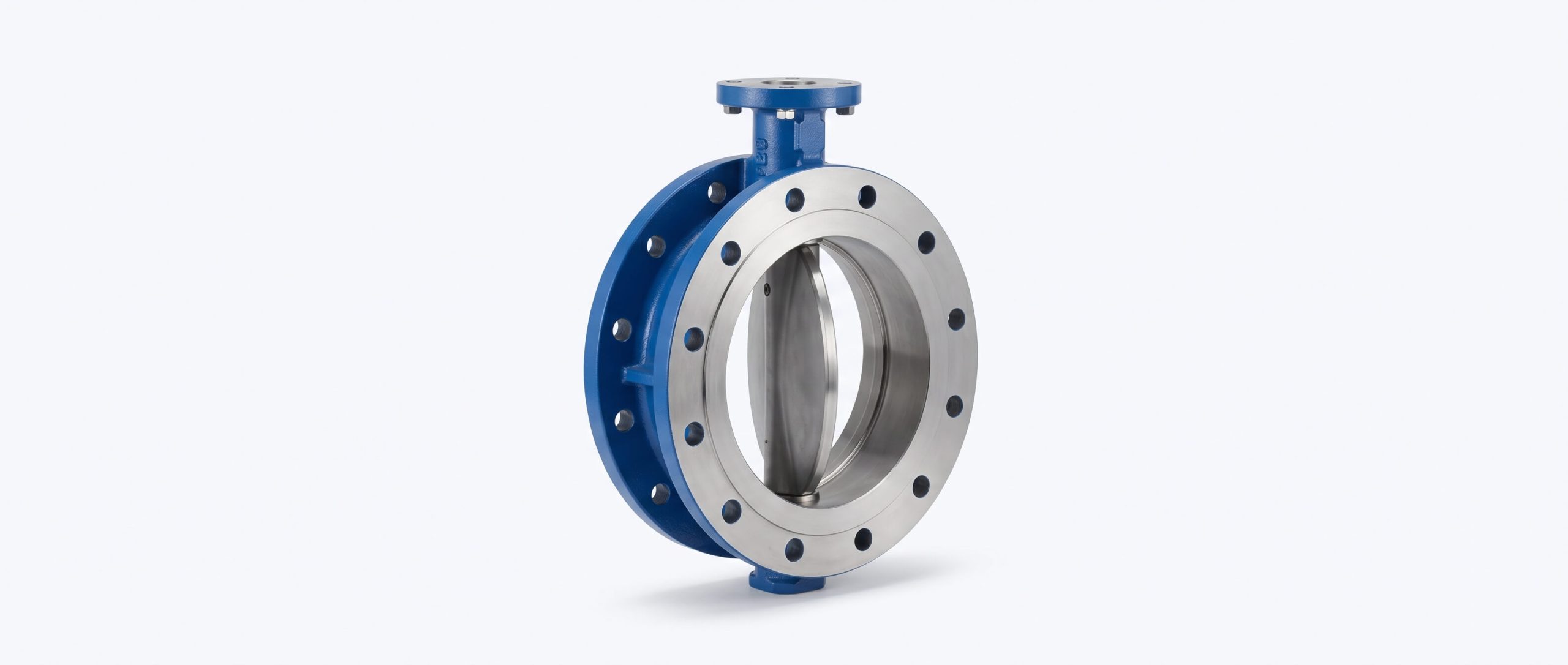 Butterfly Valve