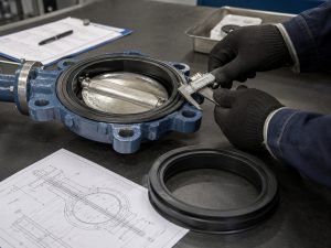 Butterfly valve seals installed in an industrial butterfly valve assembly, with the valve body, disc, seat contact area, actuator, and connected piping shown in a realistic process-service environment.