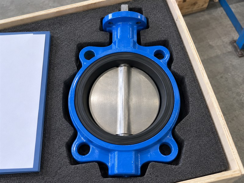 Protected disc and seat for butterfly valve JIS 10K acceptance review
