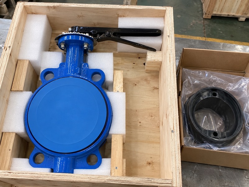 Resilient seat butterfly valve with a protected end face and separately packed spare seat